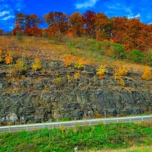 Meet your Posher, Shar